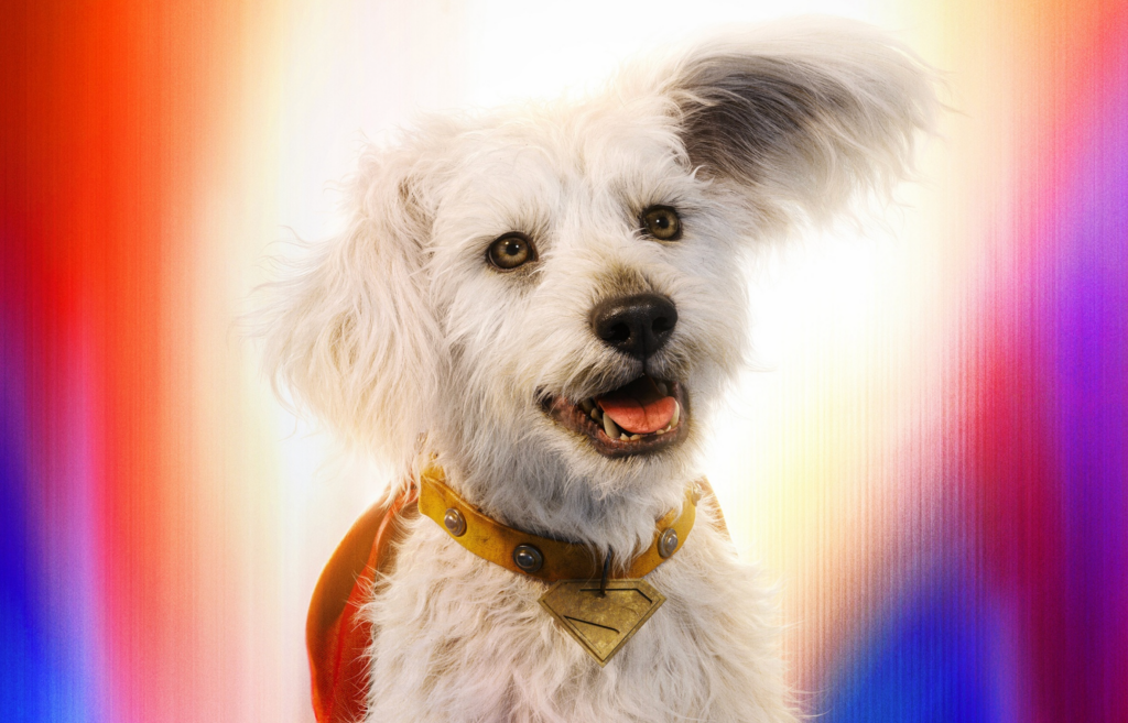 Does the dog die in Supergirl? Movie trailer recreates a dark moment from the comic