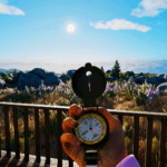 Prologue: Go Wayback! – Official Early Access March 2026 Update Launch Trailer