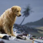 Restore Your Island: Official Release Date Trailer