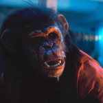 Primate, now streaming on Paramount Plus, is a well-crafted killer-chimp B-movie