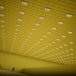 Shifting To The Backrooms – Official Release Date Trailer