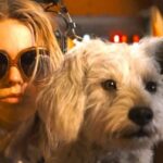 It’s a race against time to save Krypto in Supergirl trailer