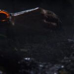 The Division 2 will welcome a new DLC this year