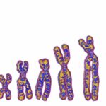 Not just Neanderthals: Ghost lineage in Africa left its mark on our DNA