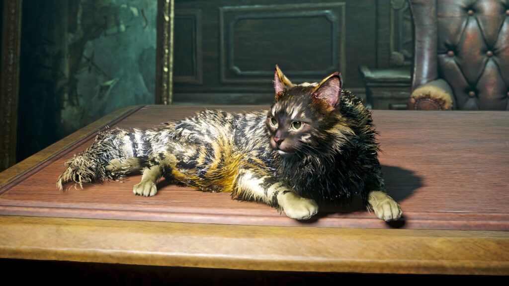 How to get all pets in Assassin’s Creed Black Flag Resynced
