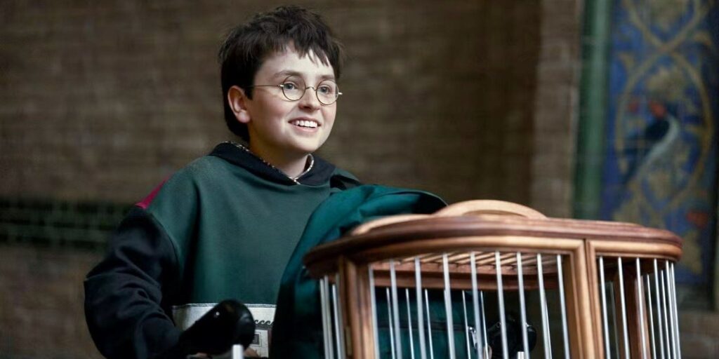 HBO’s Harry Potter Reboot Can Make 1 Book Feel Brand New
