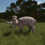 Farming Simulator 25 – Official Beans & Alpacas Announcement Teaser Trailer