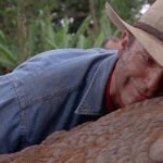 Jurassic Park Actor Sam Neill Has Died At 78