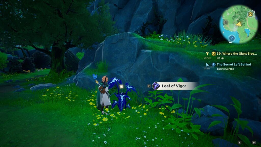 Leaf of Vigor Location in DragonSword Awakening