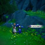 Leaf of Vigor Location in DragonSword Awakening